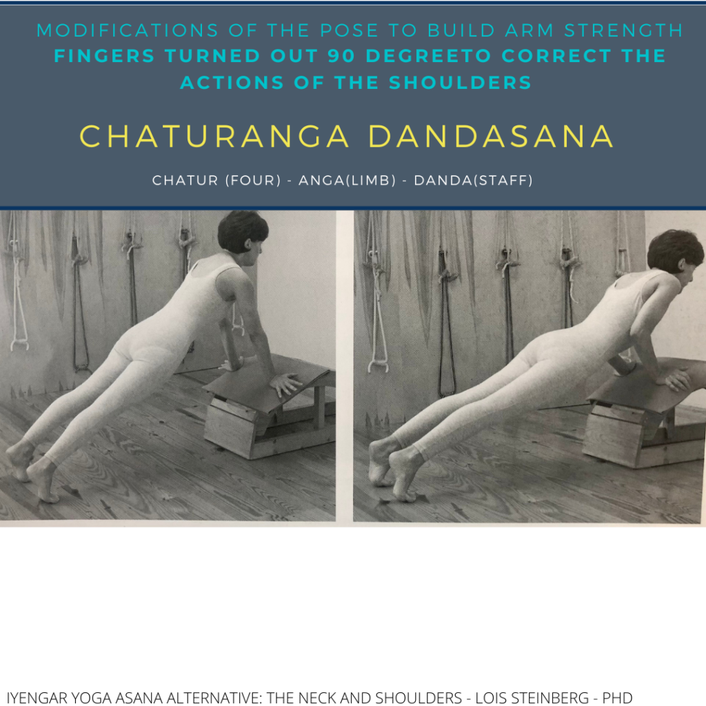 Chaturanga Dandasana: Help from Your Hyoid - Hugger Mugger