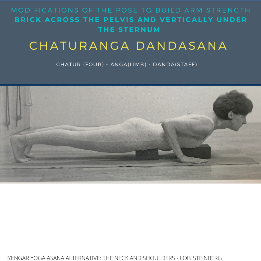 How to do Chaturanga Dandasana  Tutorial with Briohny Smyth 