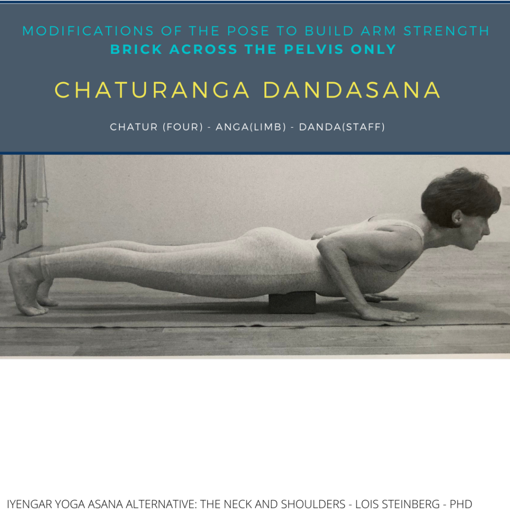 Chaturanga Dandasana : The Controversy