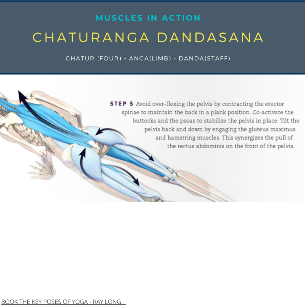 Sri Sri Prema - Chaturanga Dandasana has some amazing benefits on health  such as, it helps to strengthen arm, shoulder, and leg muscles; develops  core stability etc. For more information, get in